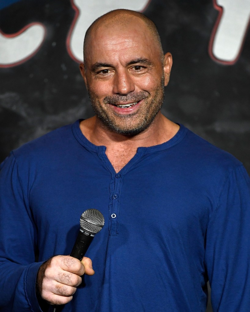 Gavin Newsom delivers low blow to 'little guy' Joe Rogan