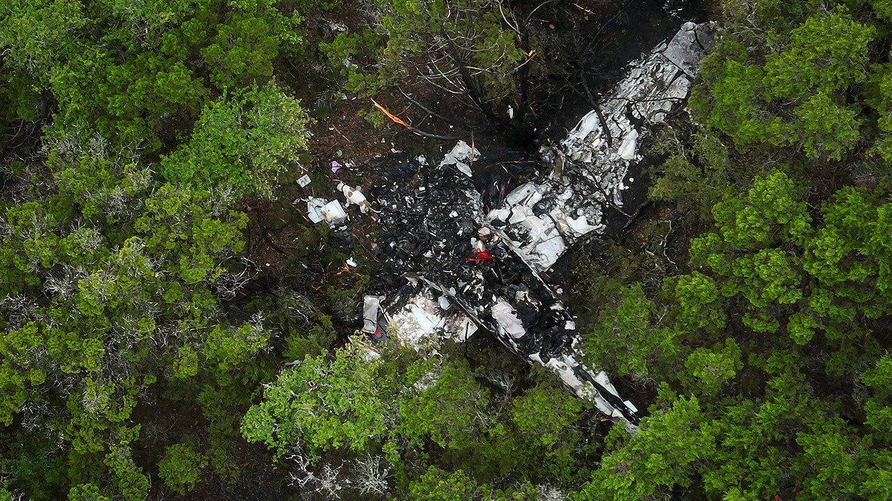 A crashed Cessna airplane is seen in a wooded area on Round Rock Road in Wimberley, Texas, Friday, May 1, 2026.