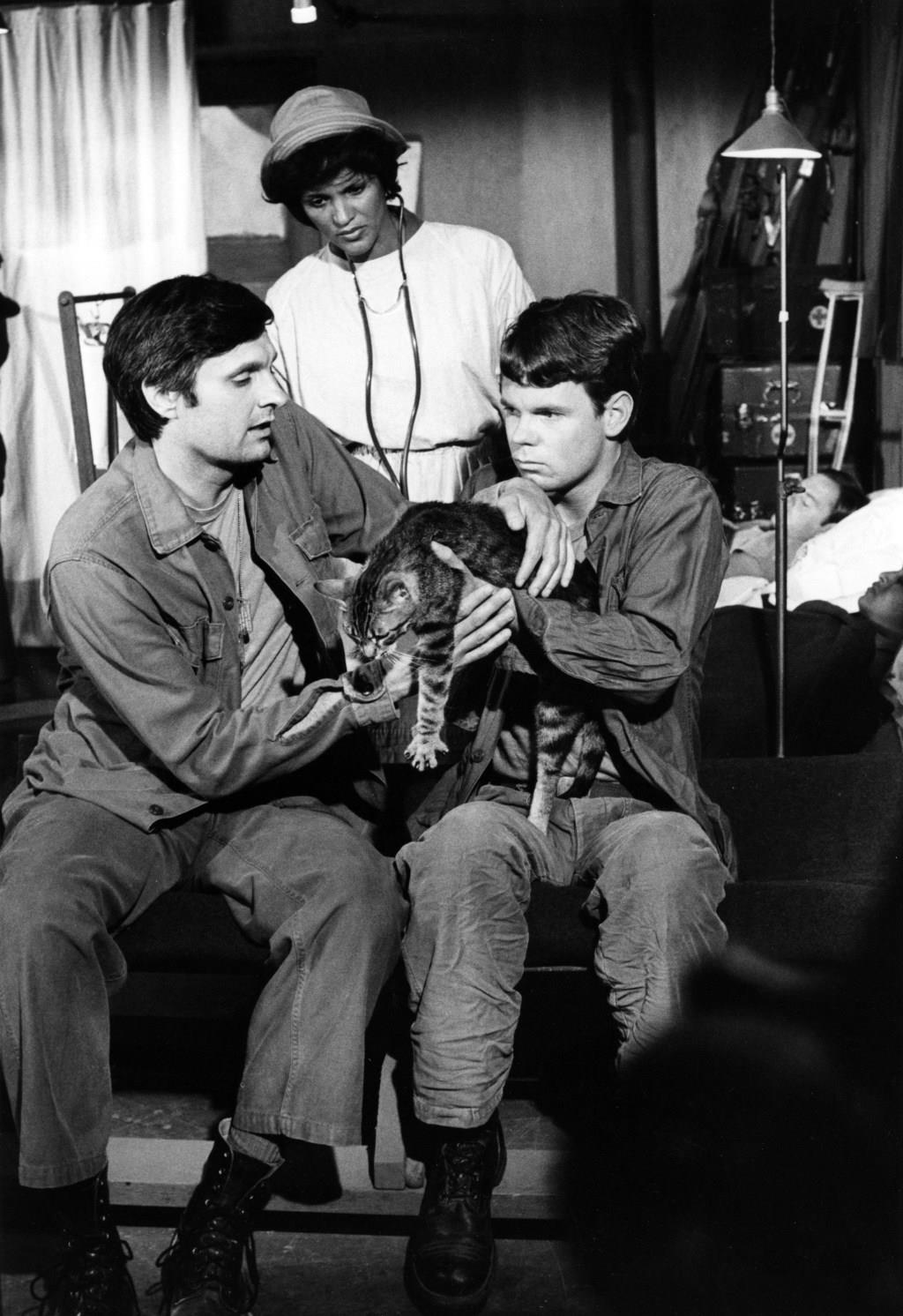 M*A*S*H actress Gwen Farrell dead at 93