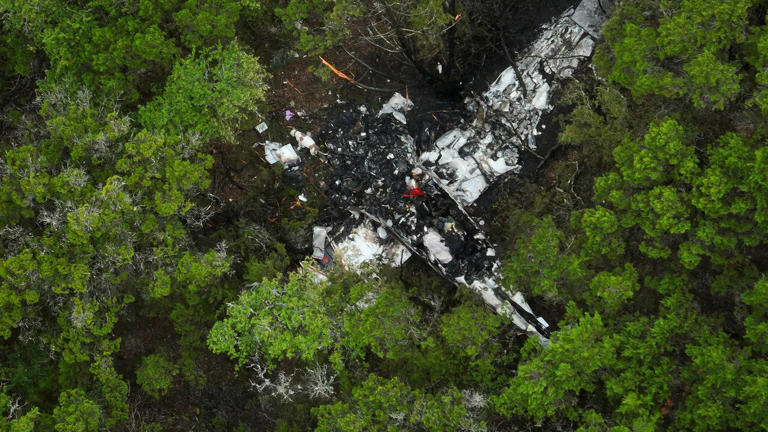 Plane crash in Texas Hill Country claims lives of five pickleball players