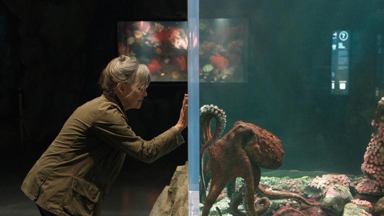 May movies swerve from a knowing octopus to Ozempic horror. Get in on ...