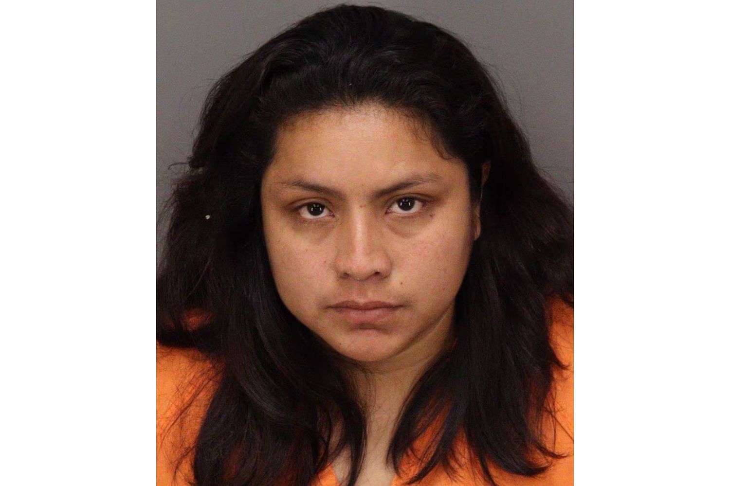 Mother arrested after her 2-year-old son died while playing alone ...