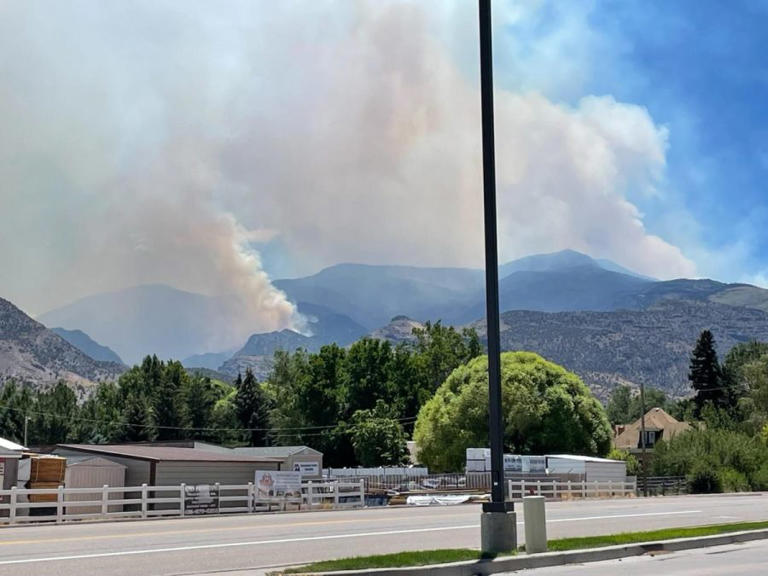 How to protect your home and yourself during a wildfire