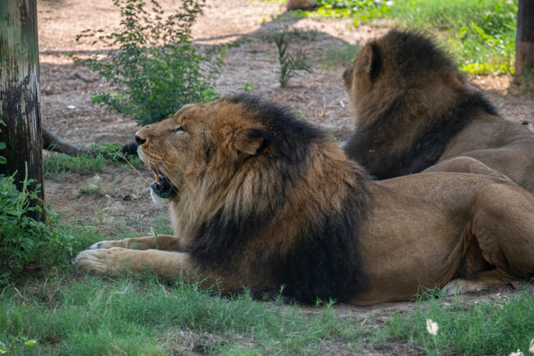 Nine outdoor attractions in the UAE to visit before the summer heat ...