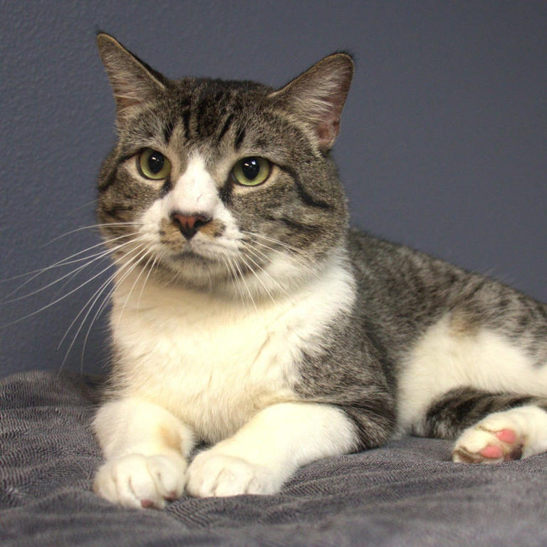 Meet Seymour. He's vision- and hearing impaired, but not love-impaired