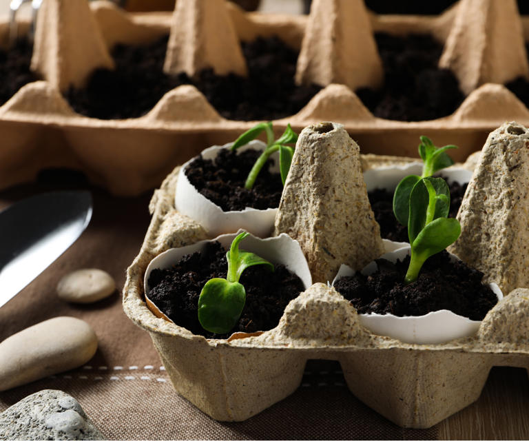 This nostalgic gardening trick is the perfect non-toxic swap for spring ...