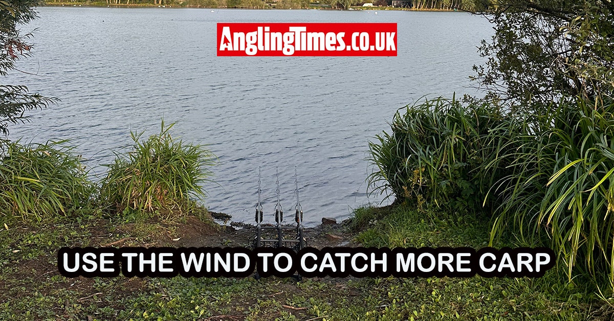 How the wind affects carp fishing