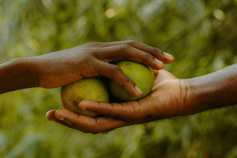 The life-changing benefits of daily kindness
