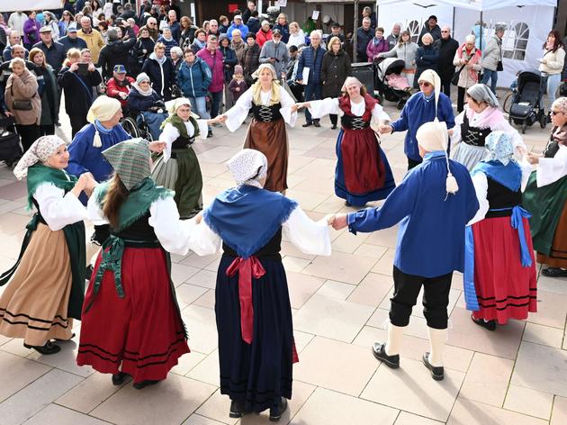 Besonders Fest Und Solide