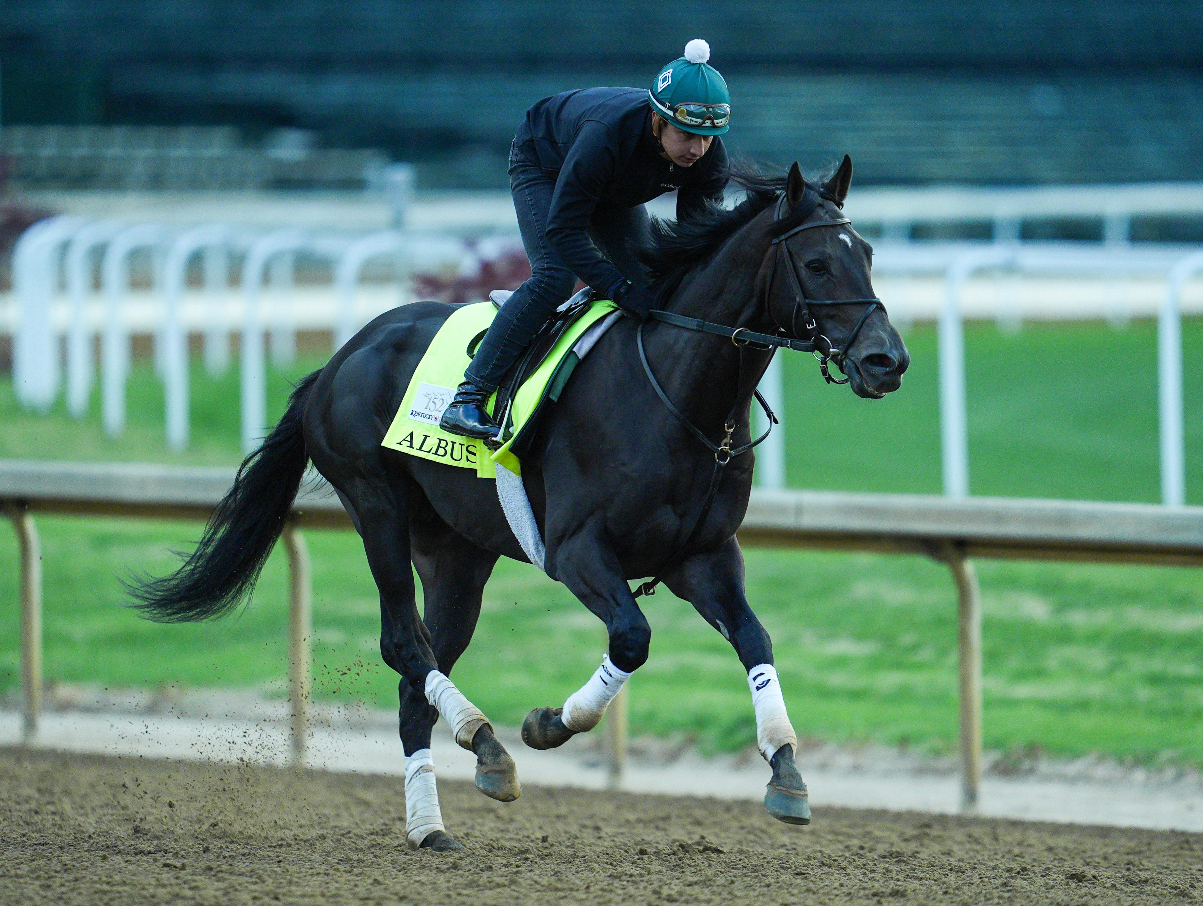 Where does Albus's name come from at 2026 Kentucky Derby?