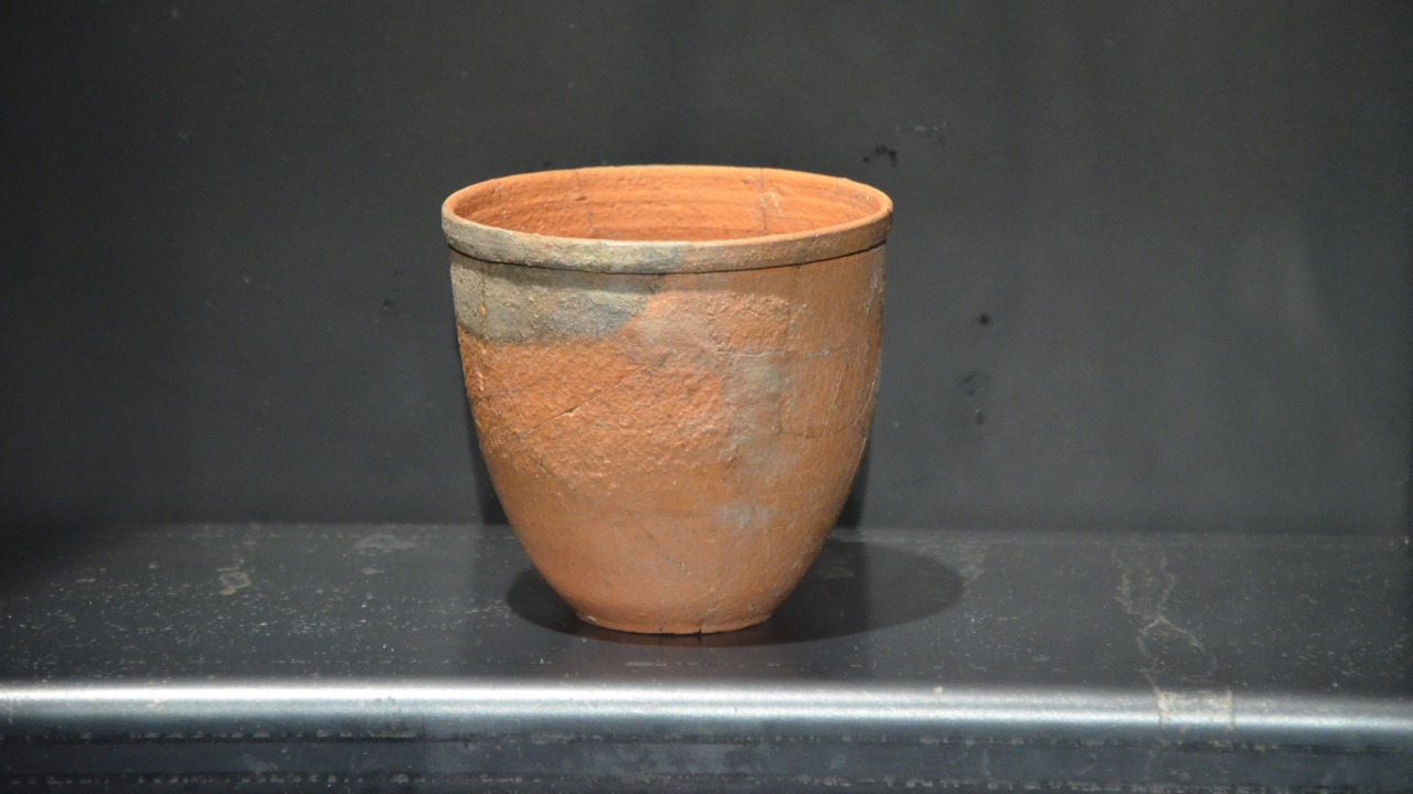 Roman chamber pots yield the world’s oldest evidence of Cryptosporidium ...