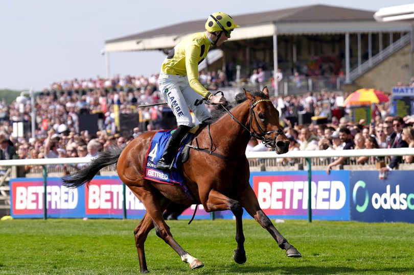 2,000 Guineas winner and full 1-2-3: Where did my horse finish at Newmarket?