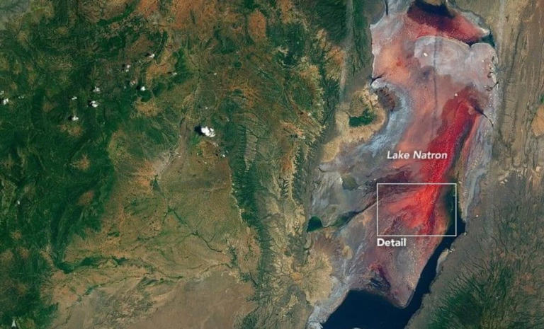 They say there’s a lake in Africa that turns animals to stone like ...