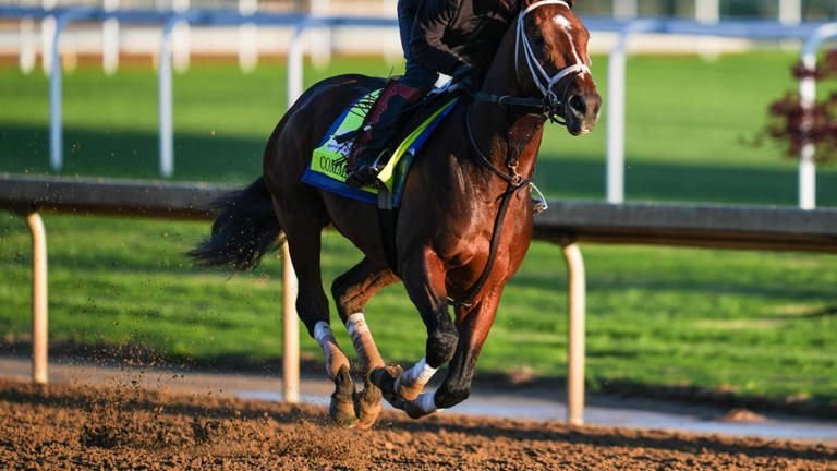 Kentucky Derby: The Puma withdraws due to leg infection, reducing field ...