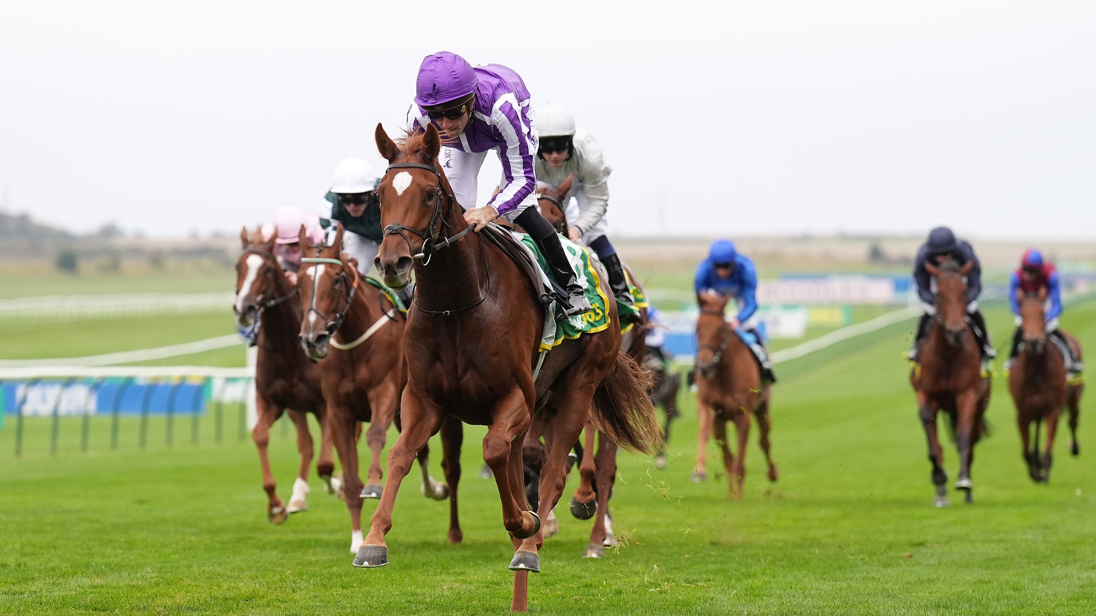 Precise moment has arrived for O’Brien filly at Newmarket