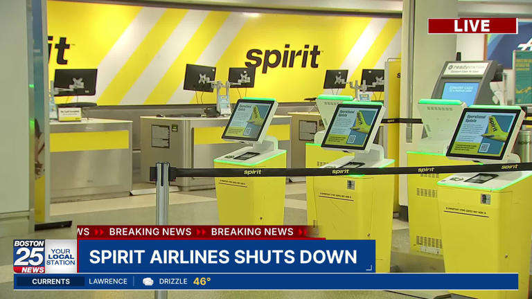 why did spirit airlines go out of business Image 6