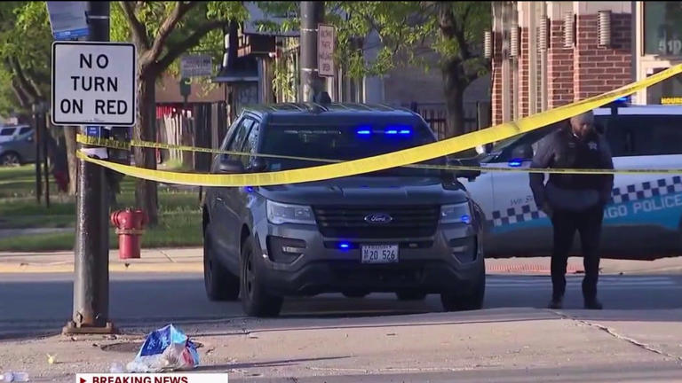 Chicago crime: Driver hits, kills man with car during SW Side argument ...