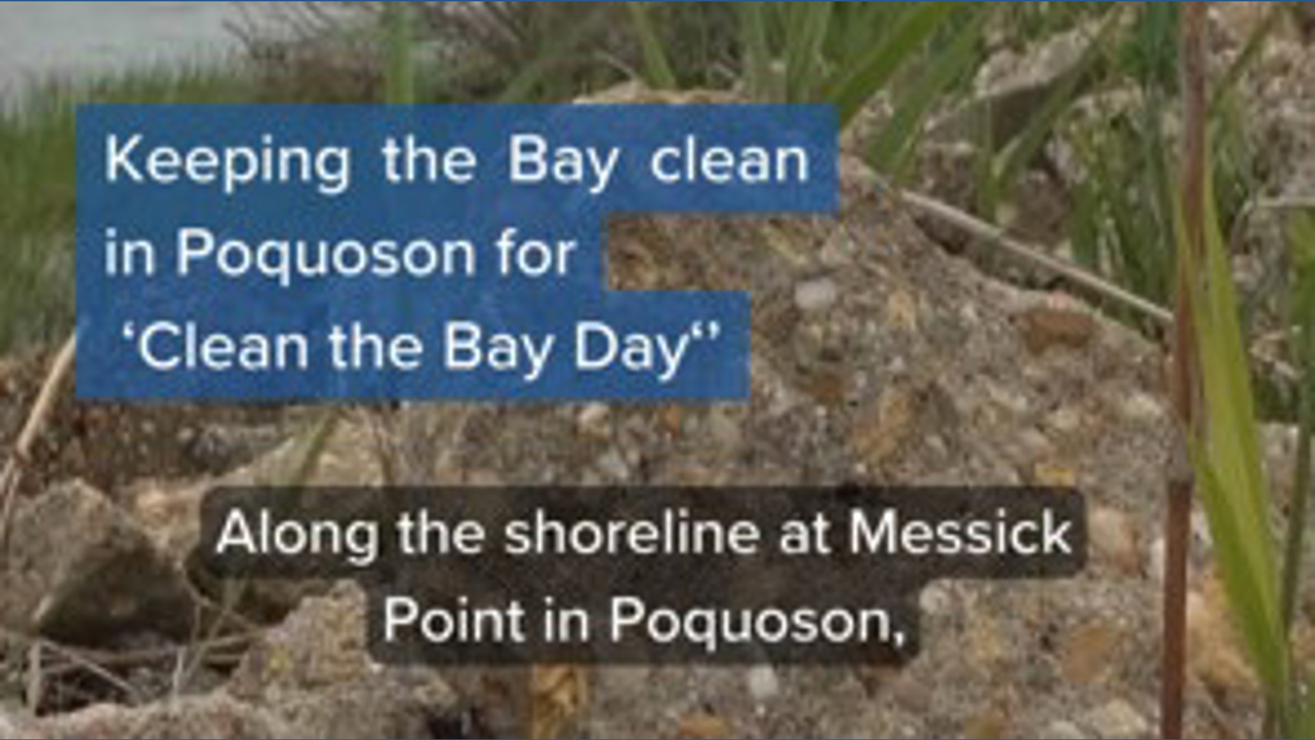 Messick Point cleanup effort for Clean the Bay Day