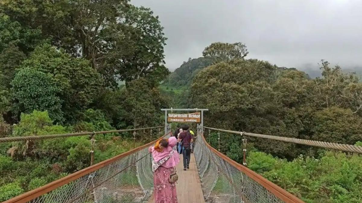 Rute perjalanan menuju Kawah Rengganis yang viral di Bandung, cek HTM