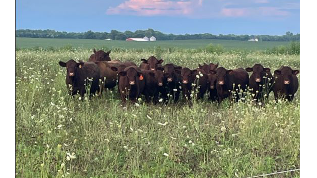 Indiana Grown: Almost Paradise Farm