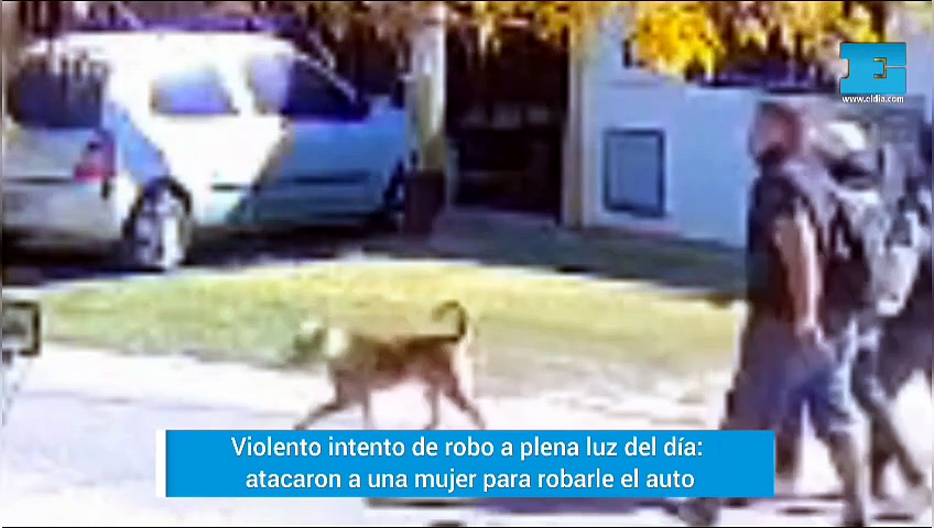 Violento intento de robo a plena luz del día en La Plata: atacaron a ...