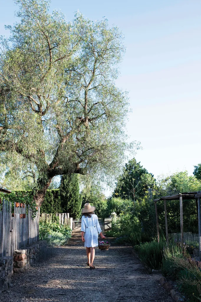 Saltash Farm The garden visit that’s shaping Edwina Bartholomew’s vision for Saltash ...