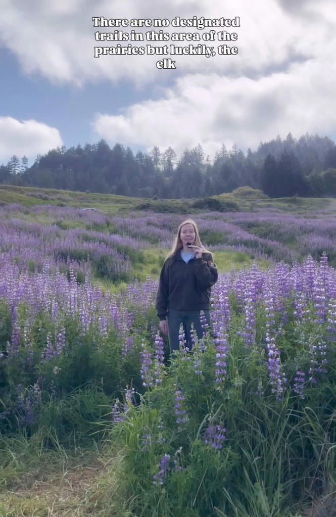 California’s dazzling superbloom steals the show — despite vandalism