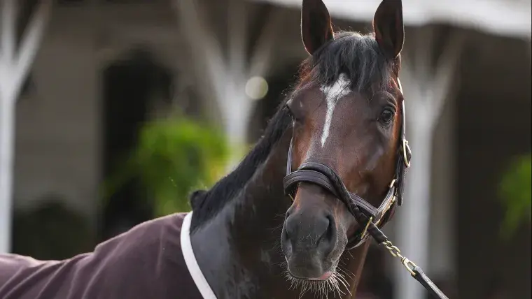 ¿Cuánto ganó Golden Tempo en el Derby de Kentucky? Desglose completo de las ganancias para el jinete y el propietario del caballo ganador de 2026.