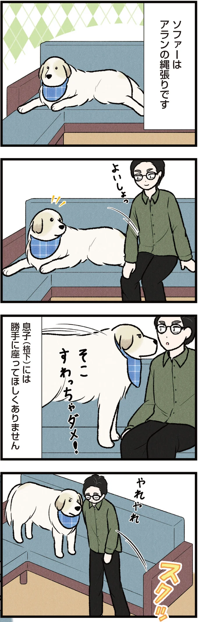 ソファは僕の場所! 大型犬に格下認定された息子は座れるのか⁉／今日のルンルン