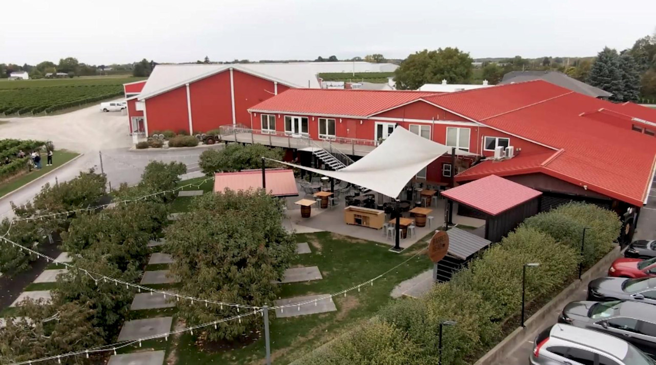 Niagara: From vines to vision