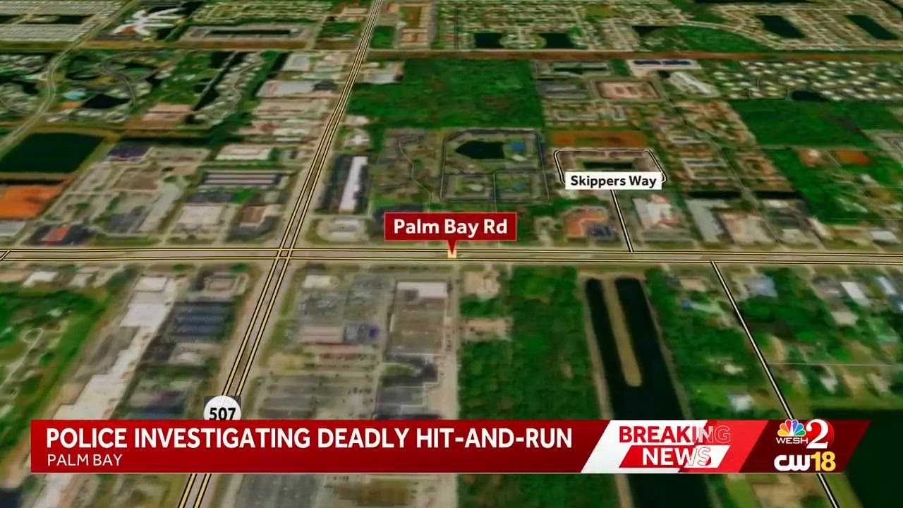 Police investigate fatal hit-and-run on Palm Bay Road