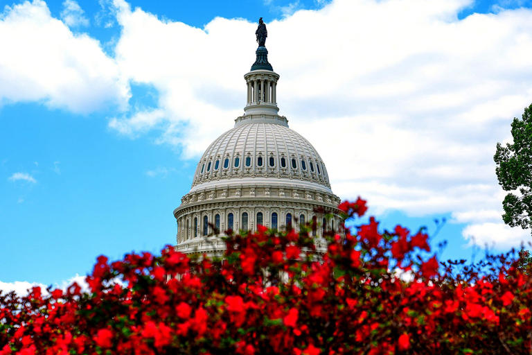 'Structural headwinds': 2026 midterm race enters last six months with ...