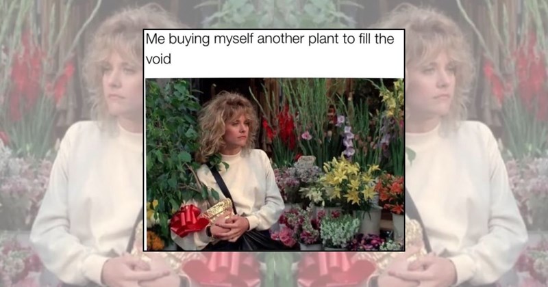 23 Peaceful Plant Lover Memes for Proud Plant Parents Practicing Proper ...