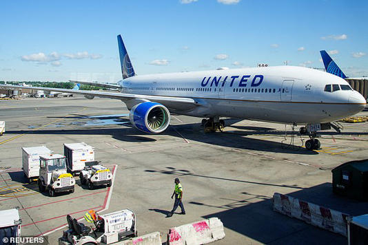 United Airlines declared an emergency on board a plane on Saturday night after a crazed passenger attacked a flight attendant and tried to storm the cockpit at Newark Liberty Airport in New Jersey (stock image)