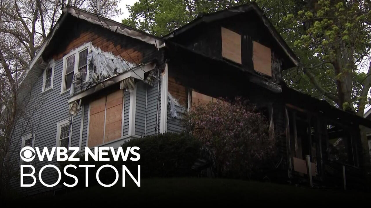 Several animals dead, woman injured after late night house fire in ...