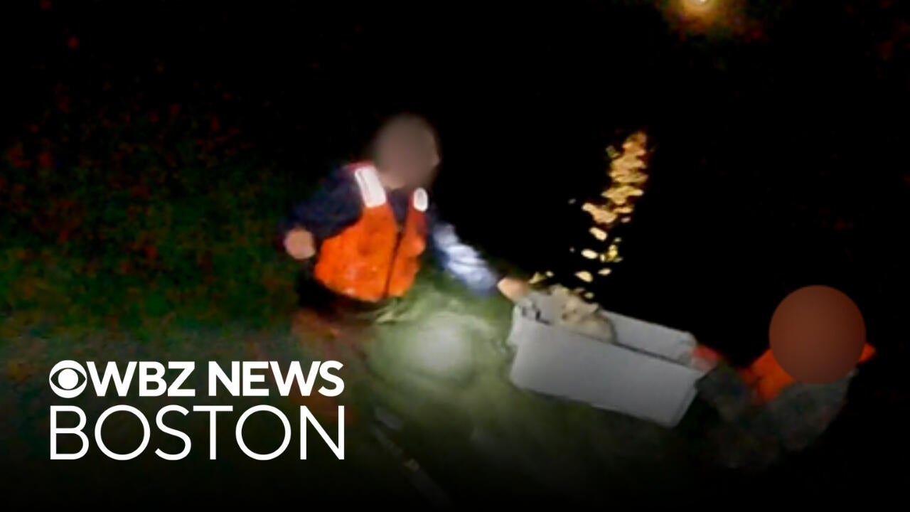 2 men, dog rescued after sailboat ran aground in frigid Essex River in ...