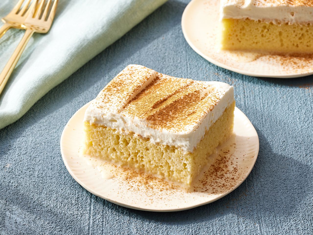 Slice of Tres Leches (Milk Cake) garnished with ground cinnamon on a plate