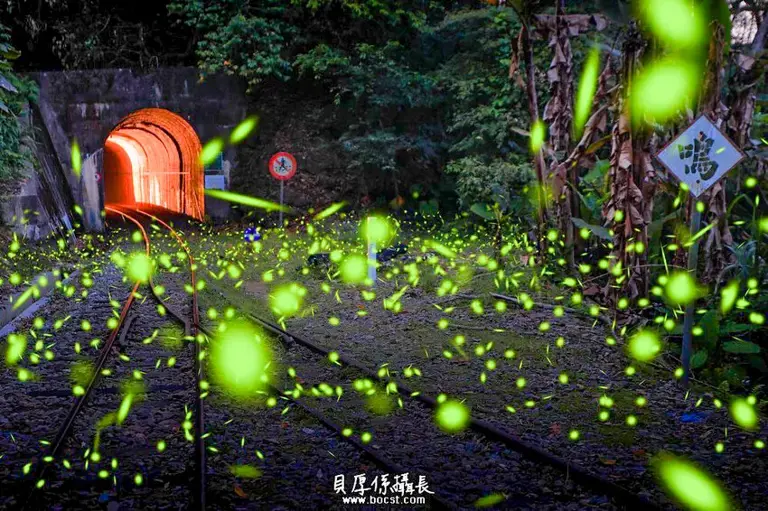 搭捷運就能到!全台螢火蟲7大景點推薦，螢火蟲爆發期別錯過，春季賞螢超浪漫。