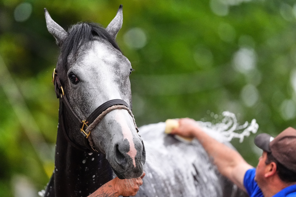 Kentucky Derby Horse Racing