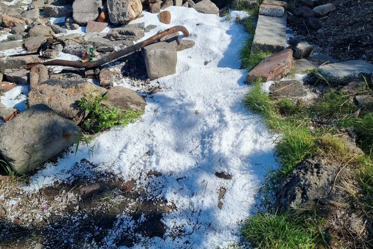 Entire bean bag of polystyrene balls 'deliberately' dumped at Granton ...