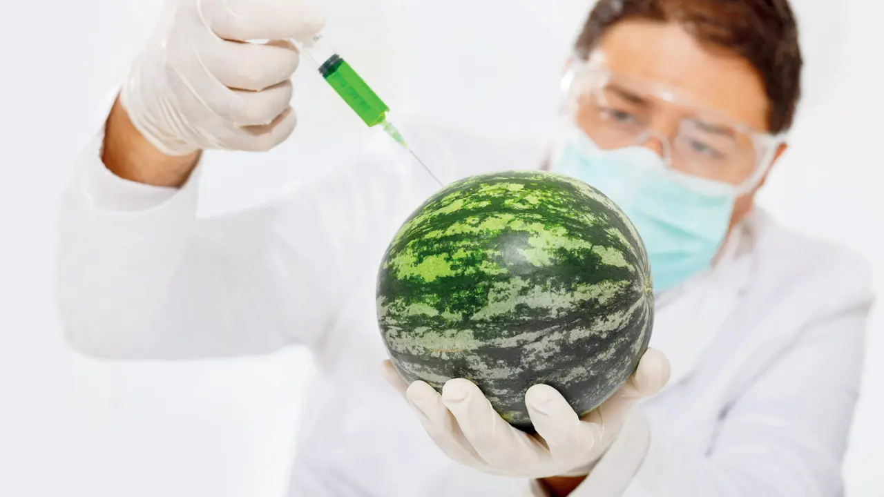 Why are we seeing red over a watermelon? Here's everything you should know