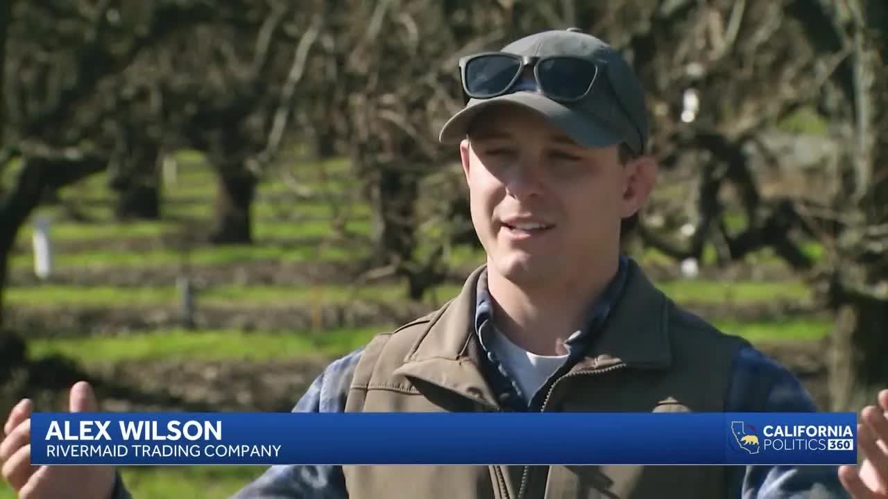 California pear growers face challenges from imports