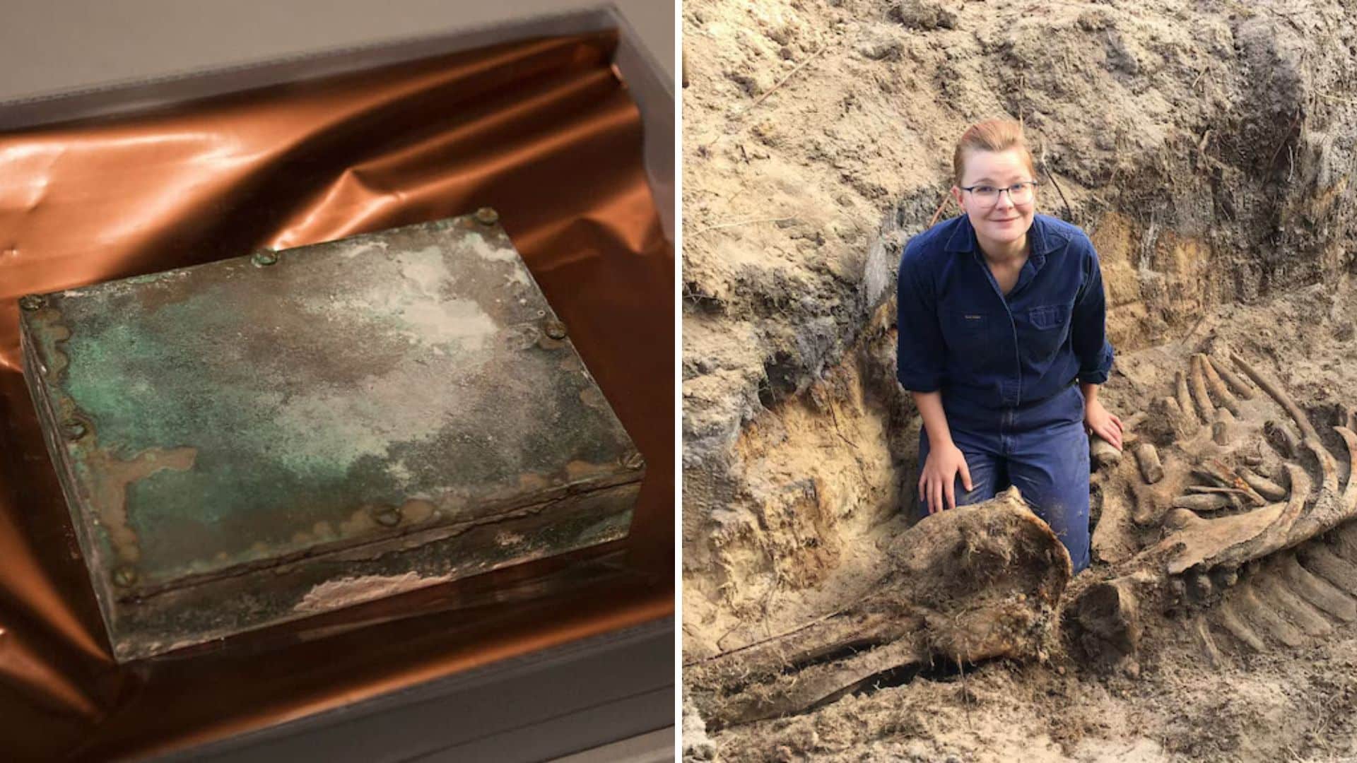 20 astonishing discoveries hiding under everyday places