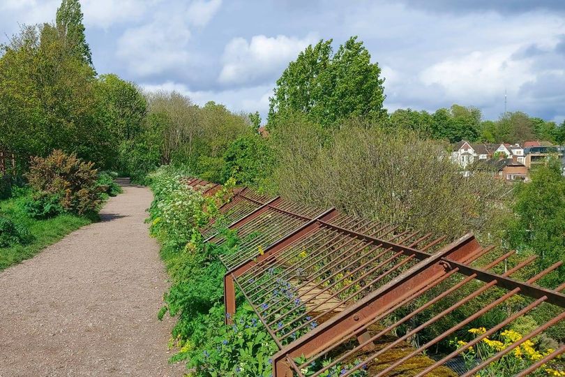 Hidden walk with best views in London that's perfect for nature lovers ...