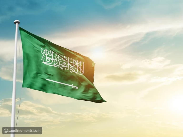 Saudi Arabia detains 11,300 for residency and border violations