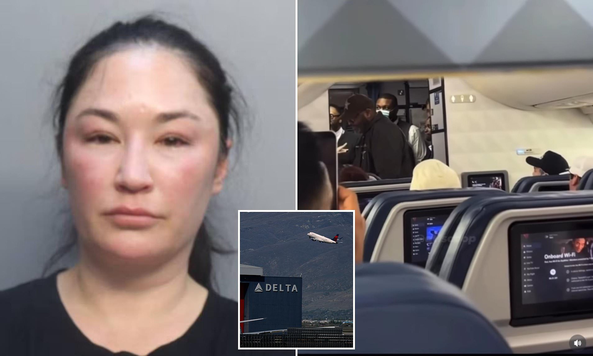 Chaos as female Delta passenger is arrested because she wouldn't hang ...