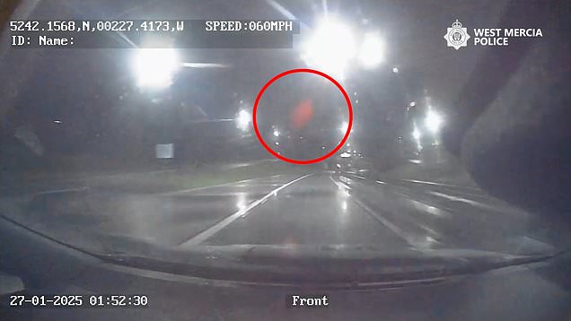 Wheelie bin thrown from bridge smashes into police car
