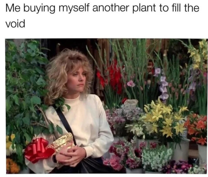 23 Peaceful Plant Lover Memes for Proud Plant Parents Practicing Proper ...