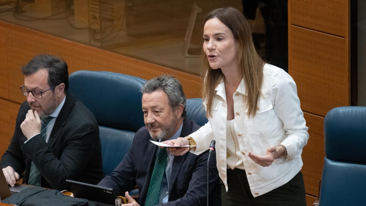 Vox acusa a la Asamblea de Madrid de censurar las preguntas sobre la ...