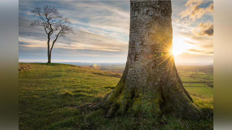 No-edit photography: great if you’re amateur, not so great if you want ...